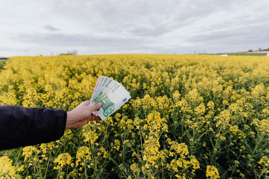 Unternehmen verstehen, zukunft gestalten. 8 Finanzen